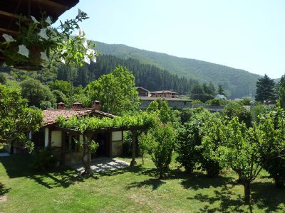 Barbacoa 1